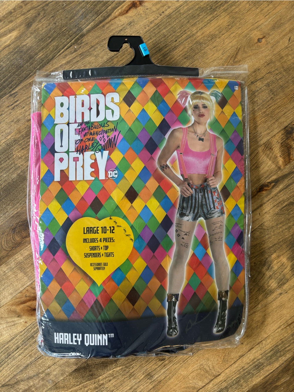 DC Comics Birds of Prey Halloween Costume